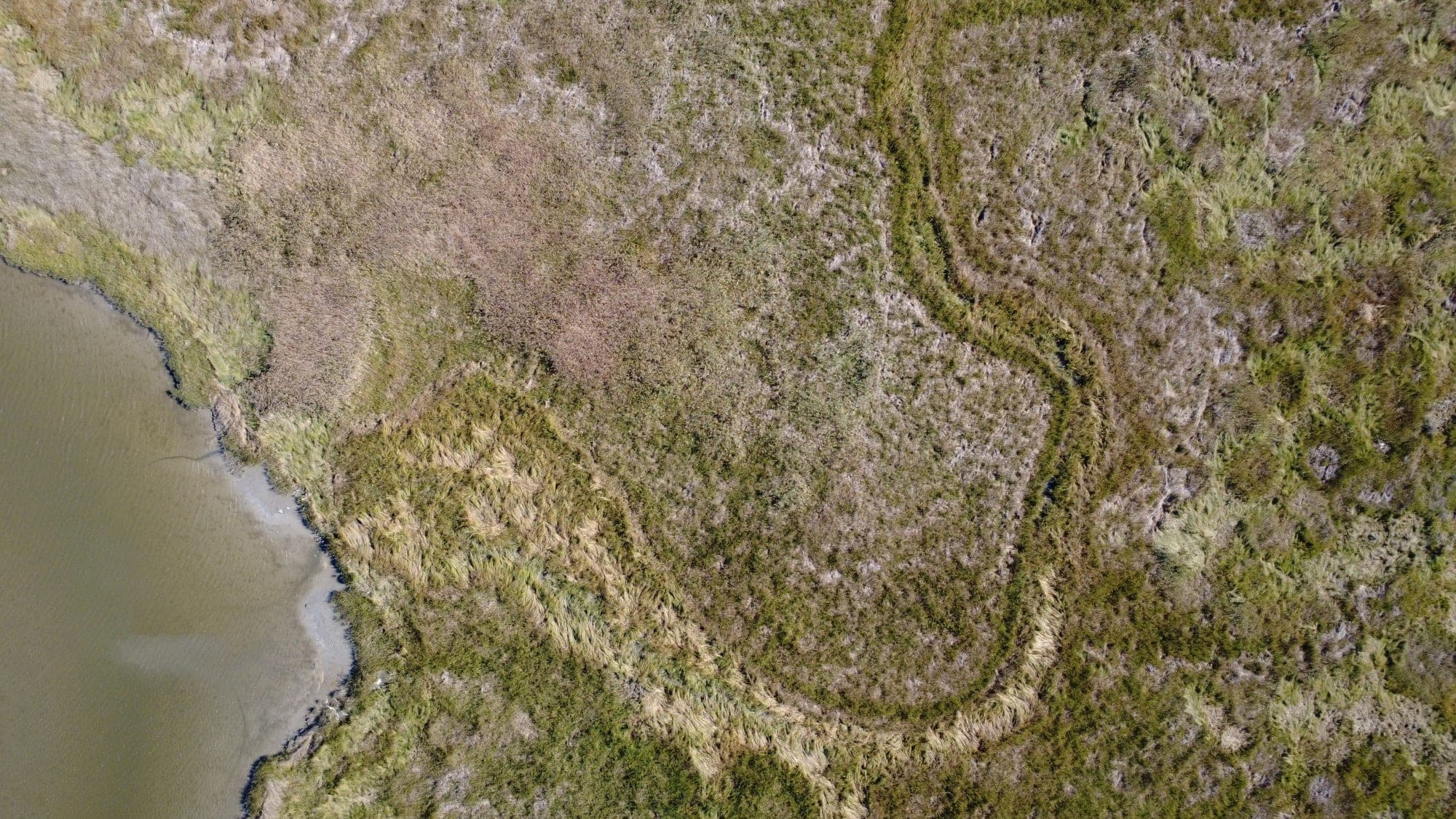 Diverse marsh vegetation from above