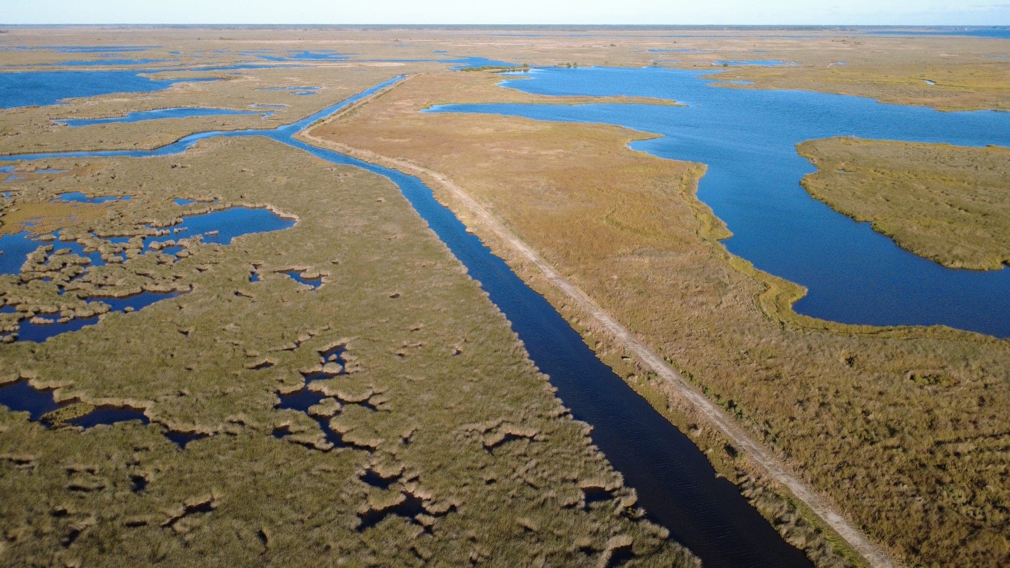 Continuous high marsh and tidal creeks