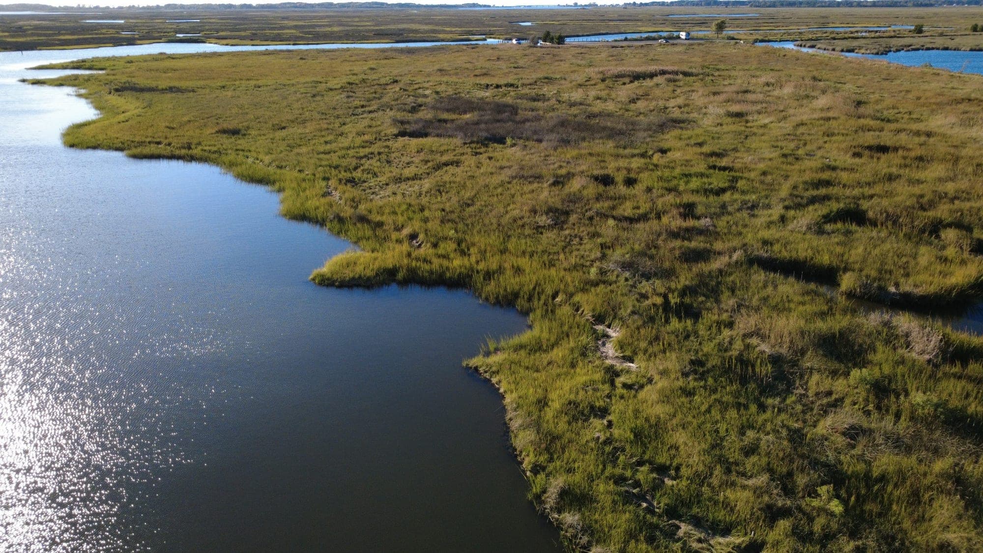 Lush cordgrass edge and high marsh