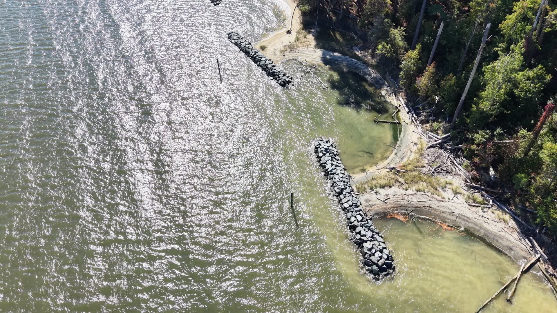 Oblique drone view of a line of stone breakwaters and sand fill along the forested shoreline at Cheston Point.