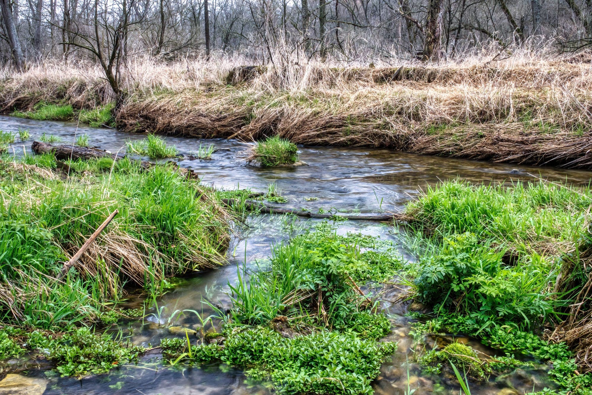 Shallow stream riffling over cobbles between low grassy banks on a sunny day.